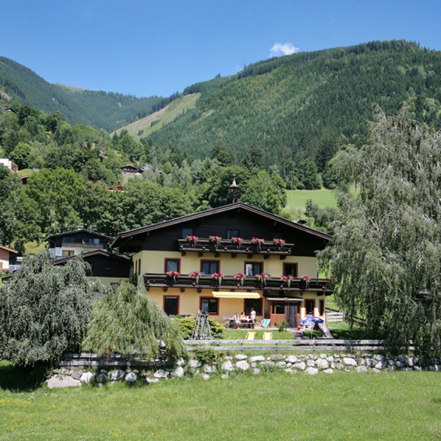 Ski & Paw Lodge in Piesendorf im Sommer
