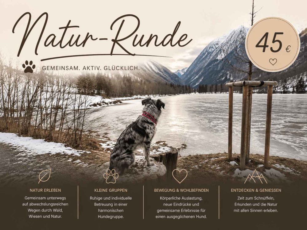 Natur-Runde für Hunde als Betreuungspaket in Kaprun