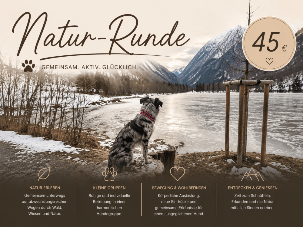 Hundebetreuung in der Ski & Paw Lodge - Bild 5